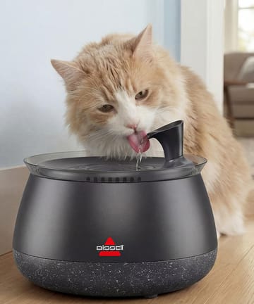 Pet Care