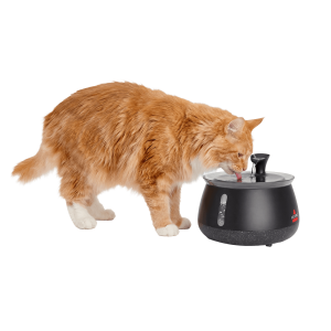 HydrateWell™ Automatic Water Fountain